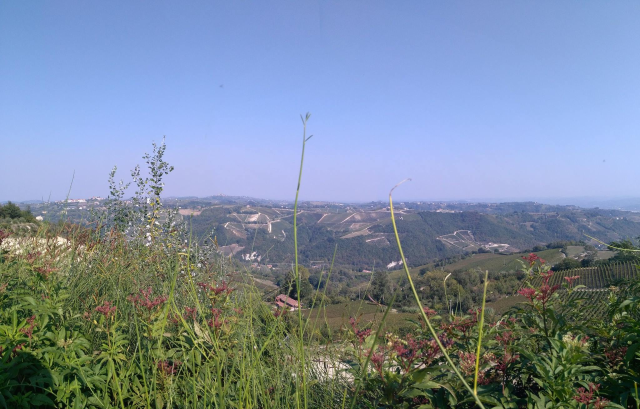Paesaggio di Castelnuovo Belbo (5)